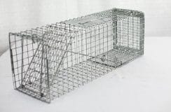 Animal trap rental